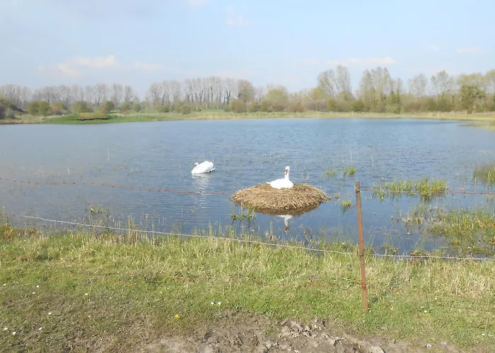 Grand Argousier Appartement *